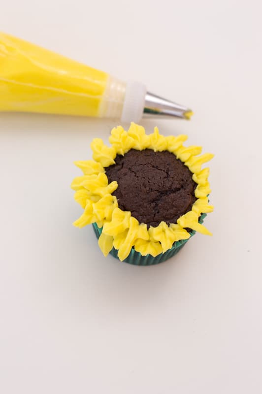 piping rows of petals for sunflower cupcakes
