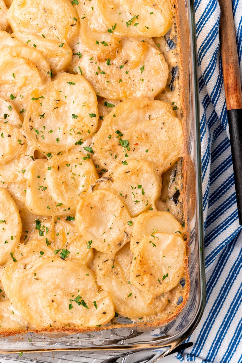 close up of baked vegan scalloped potatoes