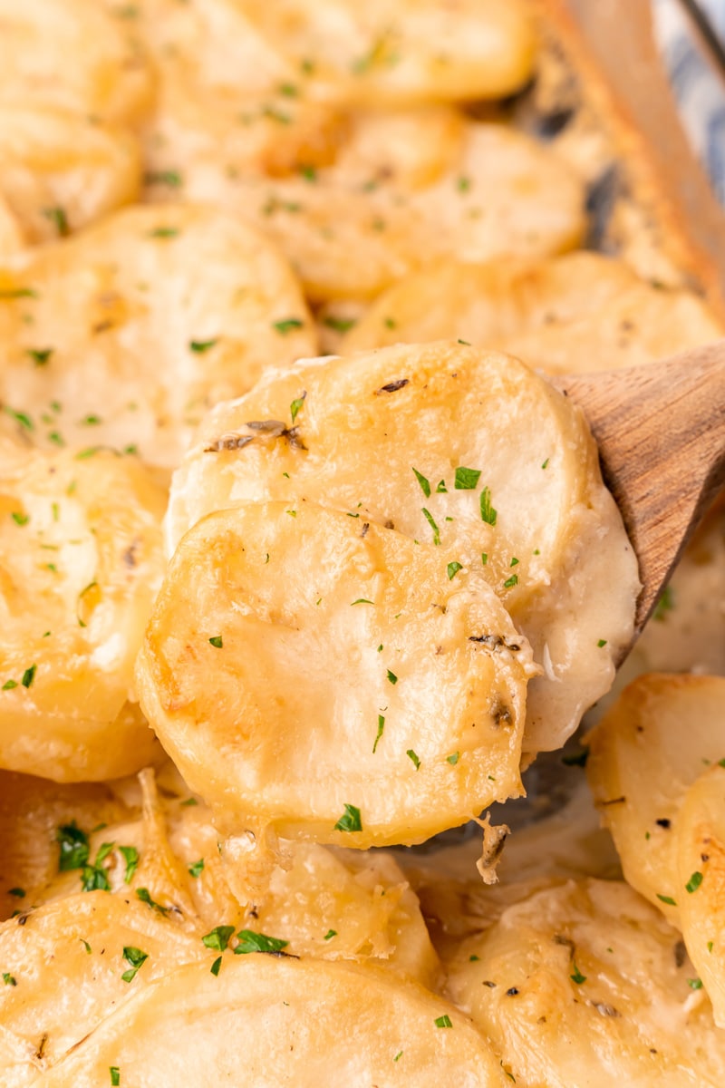 spoon lifting up a scoop of vegan scalloped potatoes