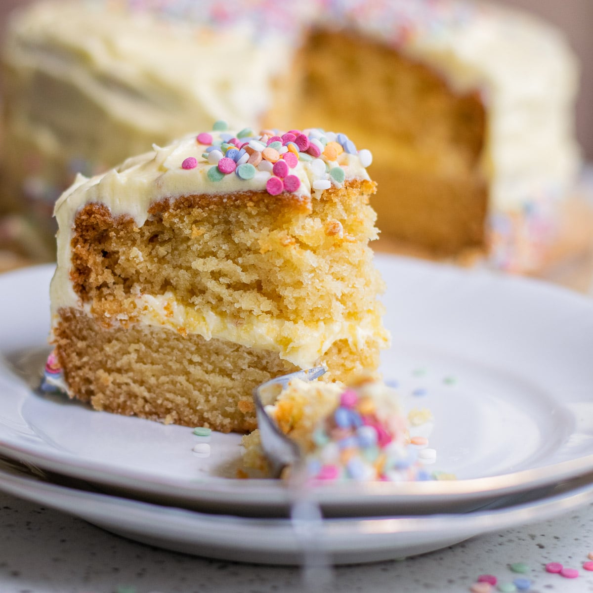 Buttery Moist Small Vanilla Cake Recipe (6