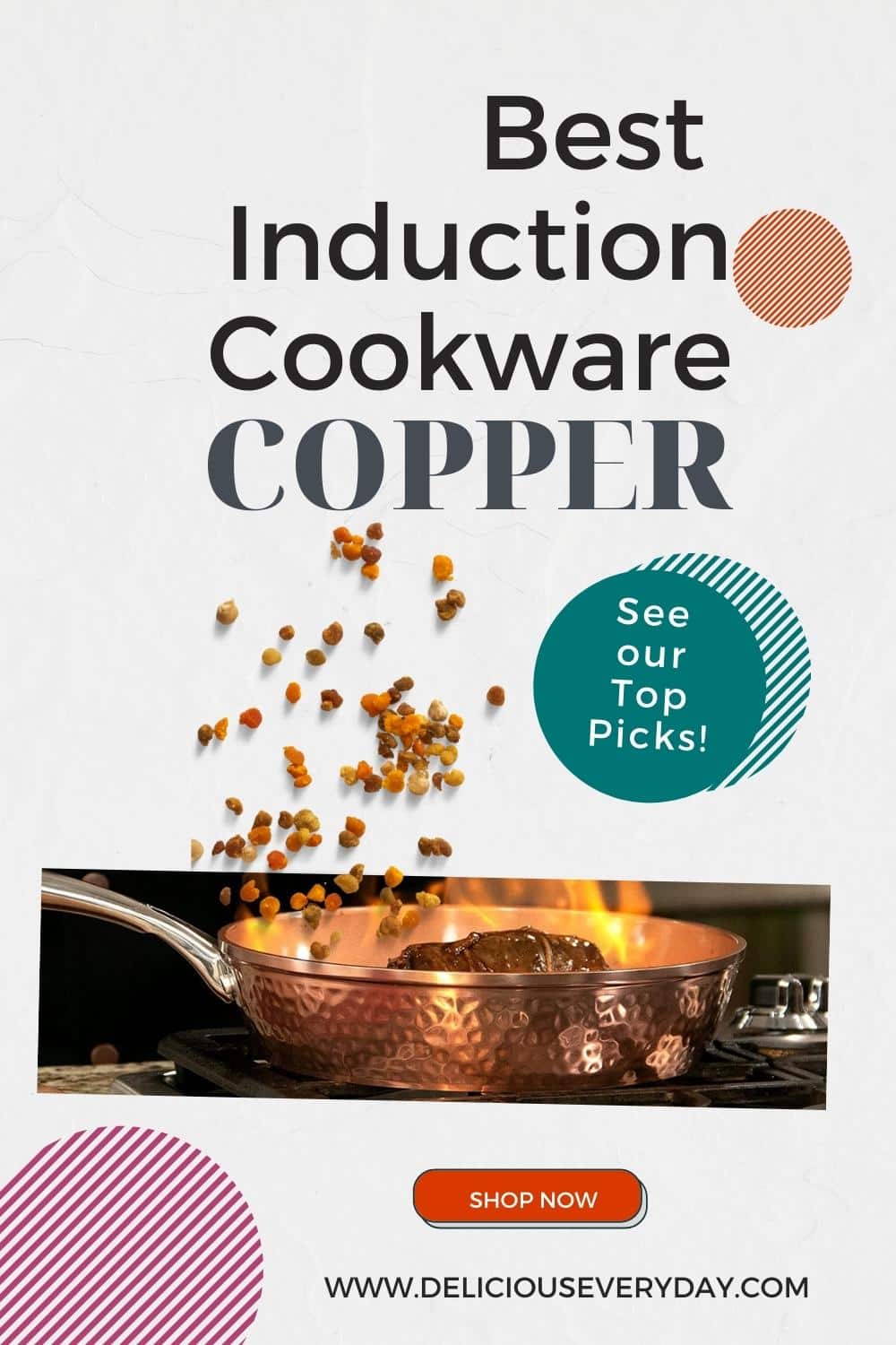Best Copper Induction Cookware Oh My Veggies