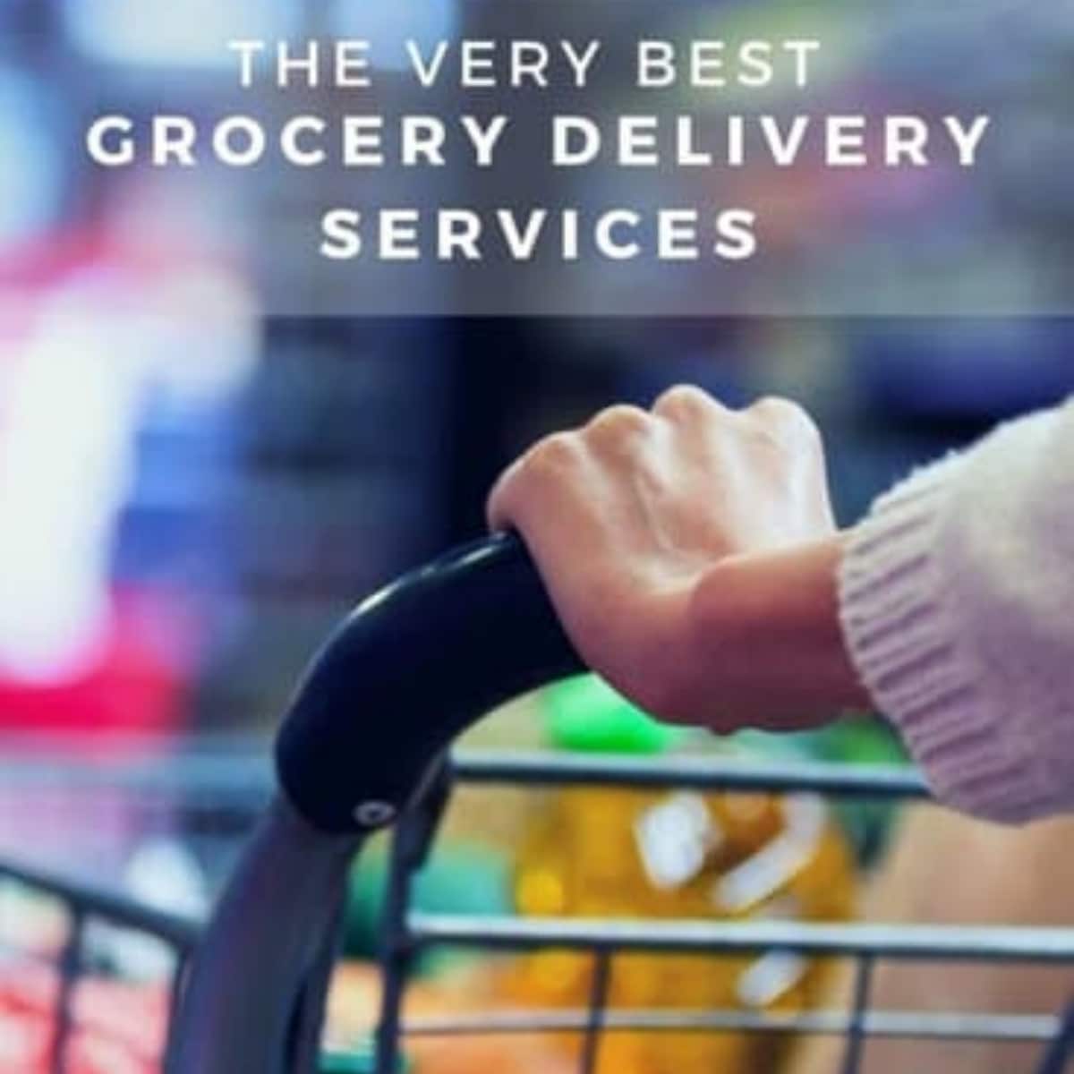 Best Grocery Delivery Services From Someone who Cooks for a Living!