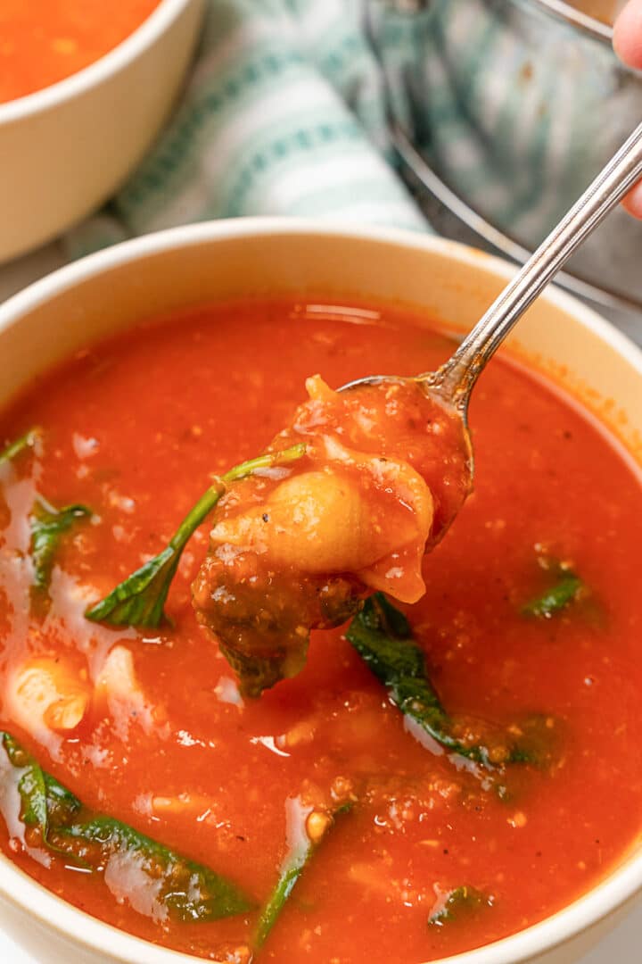 Tomato Florentine Soup - Oh My Veggies