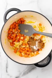 fall stew made with butternut squash