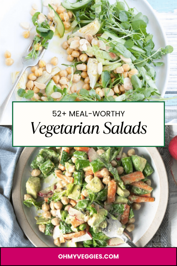 50+ Meal-Worthy Vegetarian Salads Pinterest Pin 3