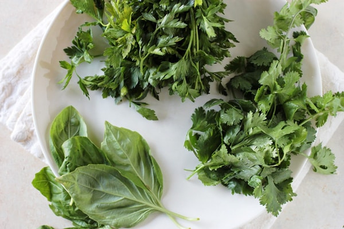 Fresh parsley, basil and cilantro on a white plate for making chimichurri