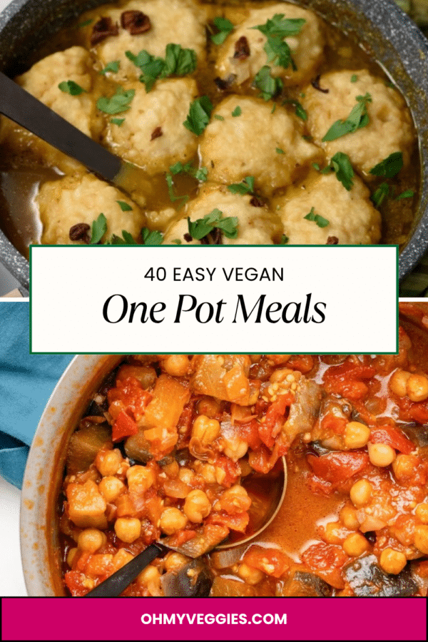 40 easy vegan one pot meals Pinterest pin with mushroom dumpling soup and eggplant stew