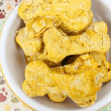 Homemade pumpkin dog treats in a dog bowl