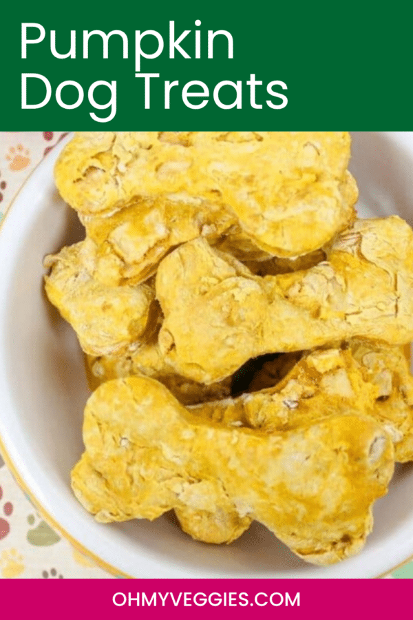 Pumpkin Dog Treats pin graphic from Oh My Veggies